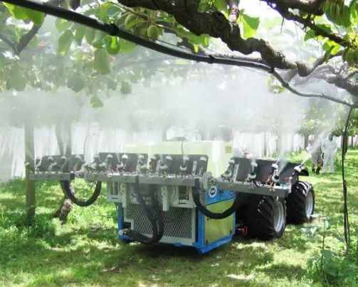 猕猴桃园内灌水一是可以起到降低园内温度的作用