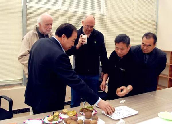陕西佰瑞猕猴桃研究院有限公司是一家集猕猴桃科研开发及生产经营为一体的高科技企业