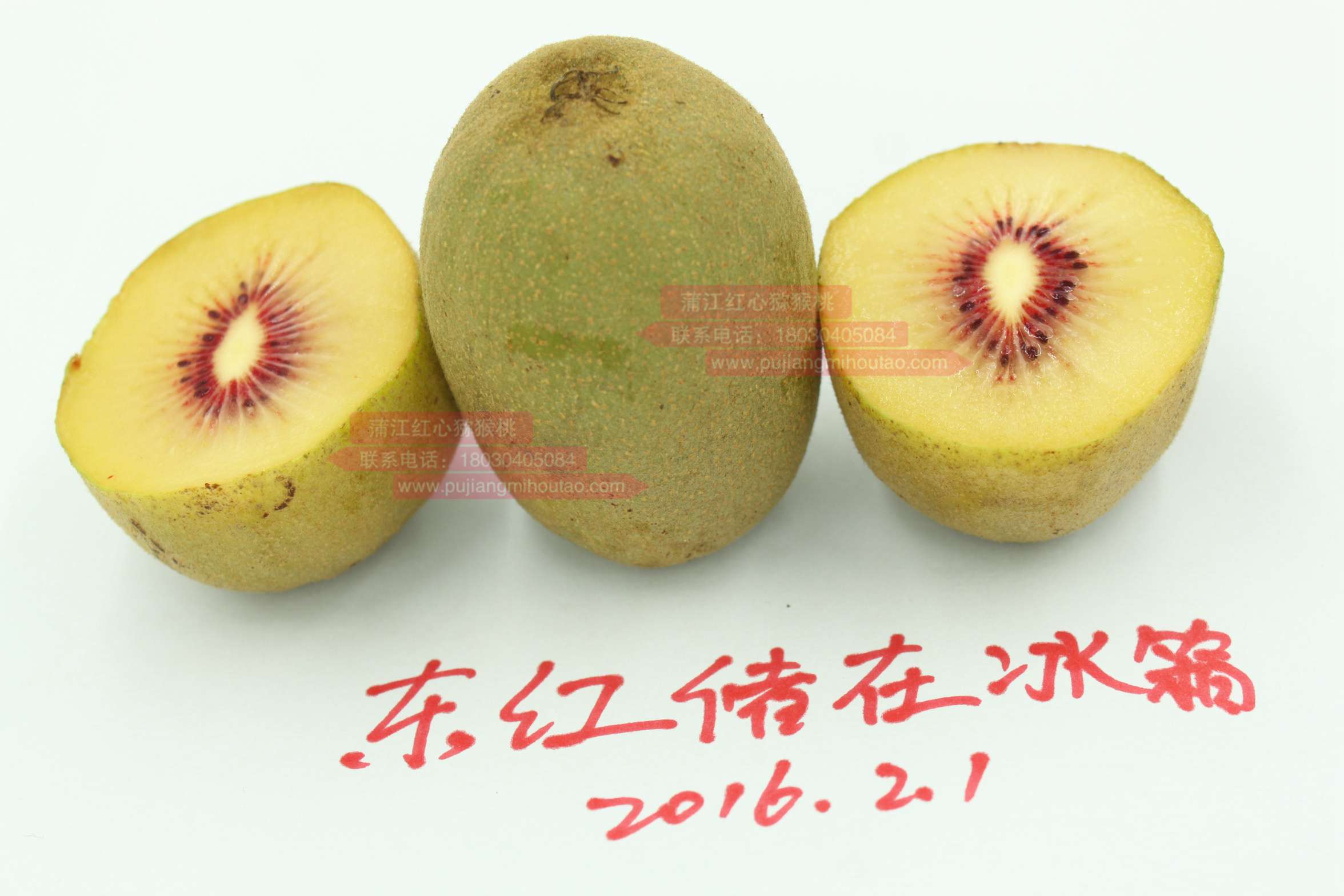 贵州高山东红猕猴桃发育要155天以上到成熟