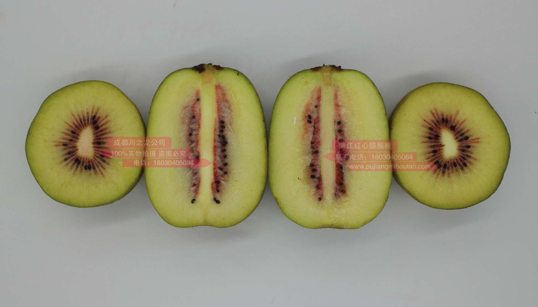 东红猕猴桃种植及管理技术首先将在农业示范户中推广