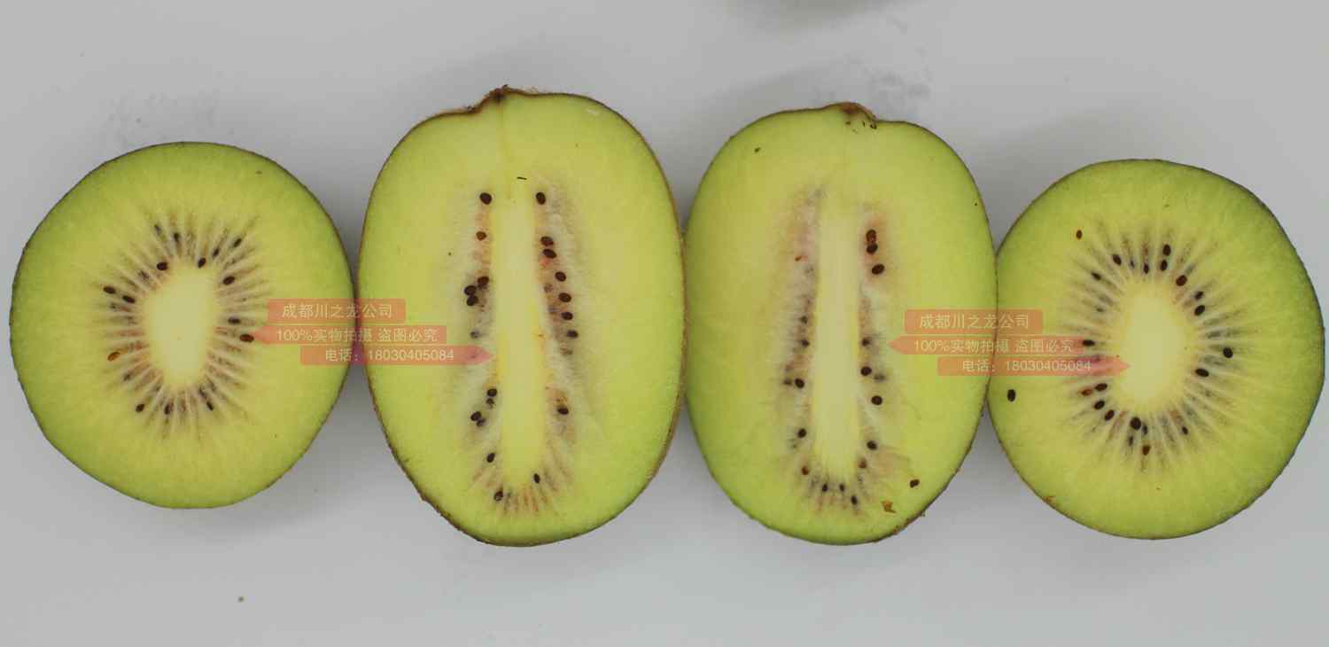 各类杨氏金红50猕猴桃的种植基地在蒲江哪里？