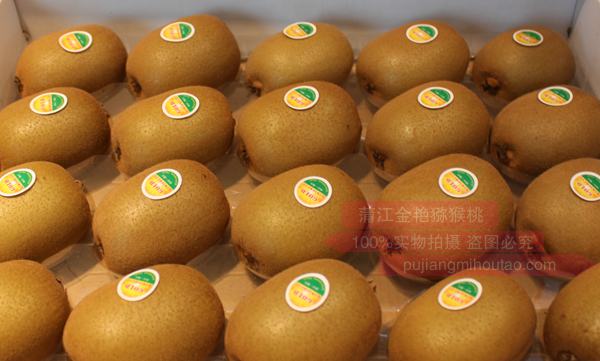 黄金奇异果