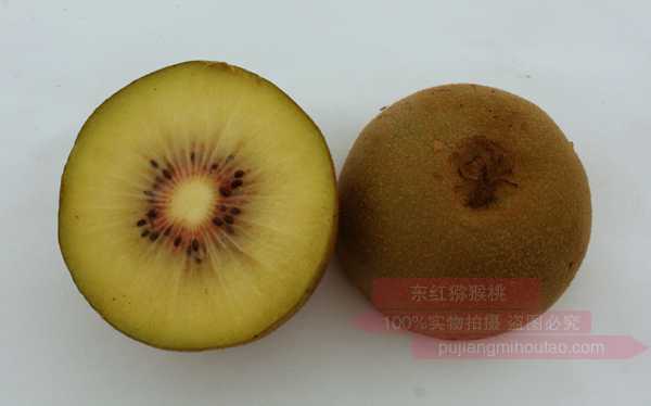 机理念传江县等引进了东红等多个猕猴桃品种
