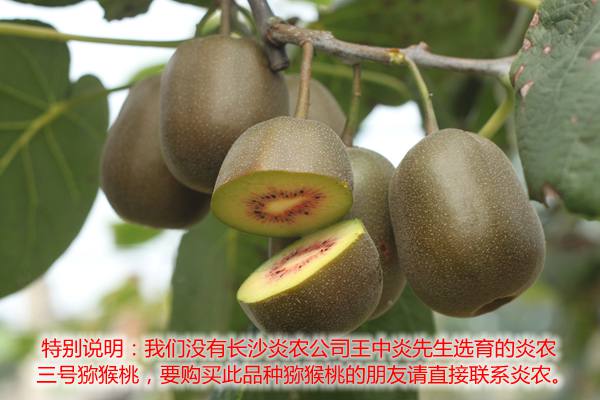湖南长沙炎农生物科技有限分司王中炎