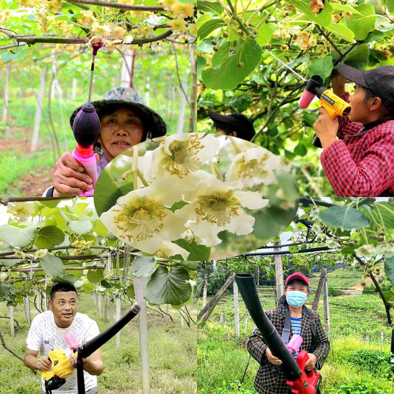 Kiwi pollination equipment