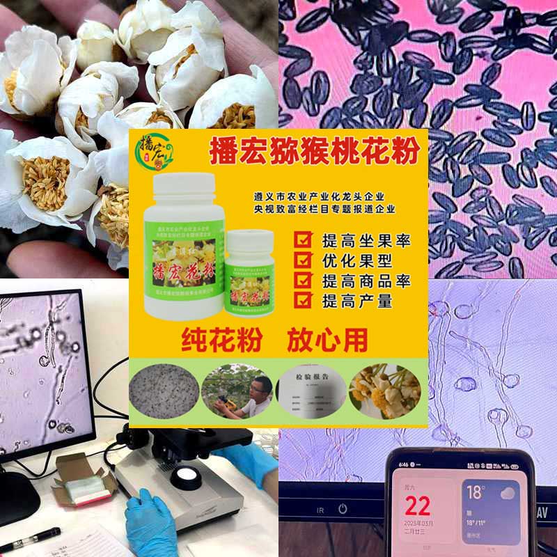 贵州播宏猕猴桃花粉