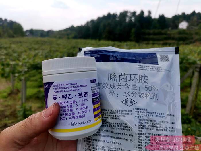 猕猴桃农药杀菌剂 猕猴桃农药杀菌剂