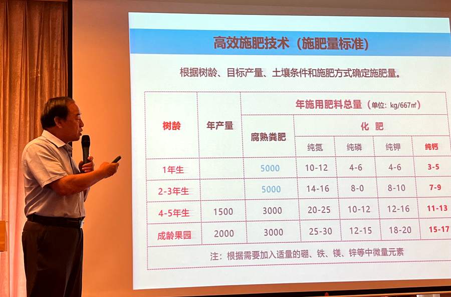 猕猴桃施肥方案