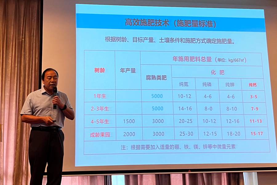 红心猕猴桃高效施肥技术