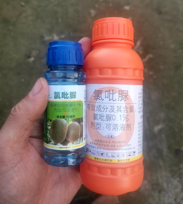 猕猴桃膨大剂 猕猴桃膨大剂