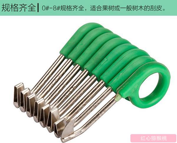 猕猴桃环剥