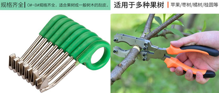 猕猴桃环剥 猕猴桃环剥的技术原理、前提条件、环割时间、环剥宽度掌握