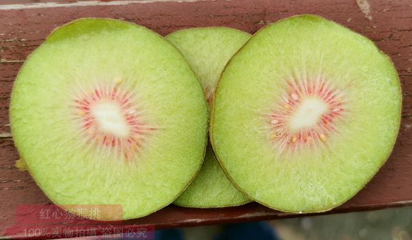 红心猕猴桃不到采摘期，成都最大水果批发市场却每天卖几十吨！到底害了谁？