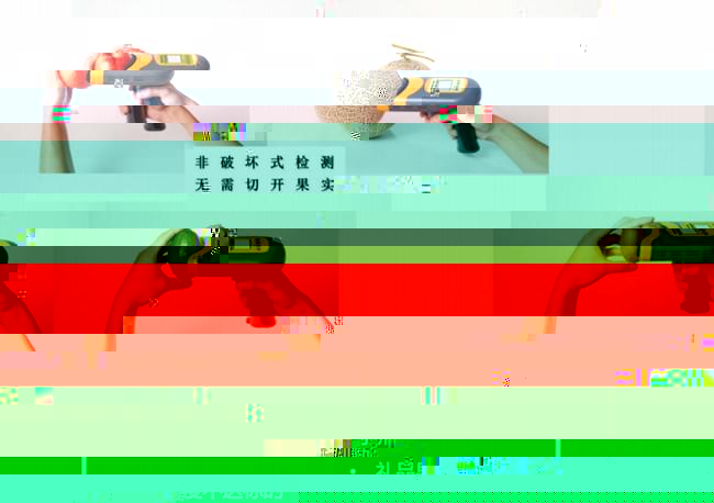 猕猴桃采收前检测