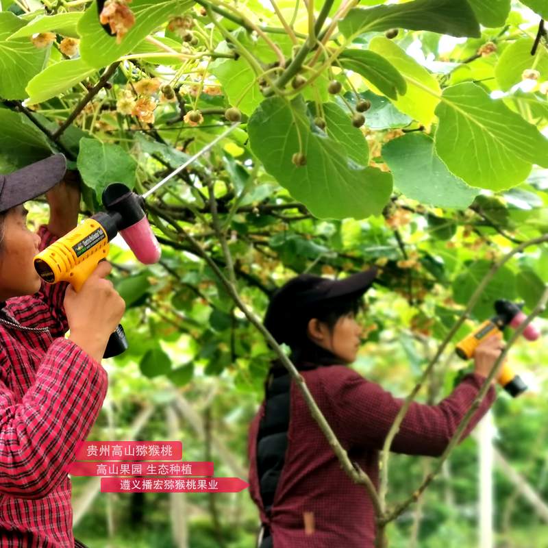 猕猴桃电动授粉枪