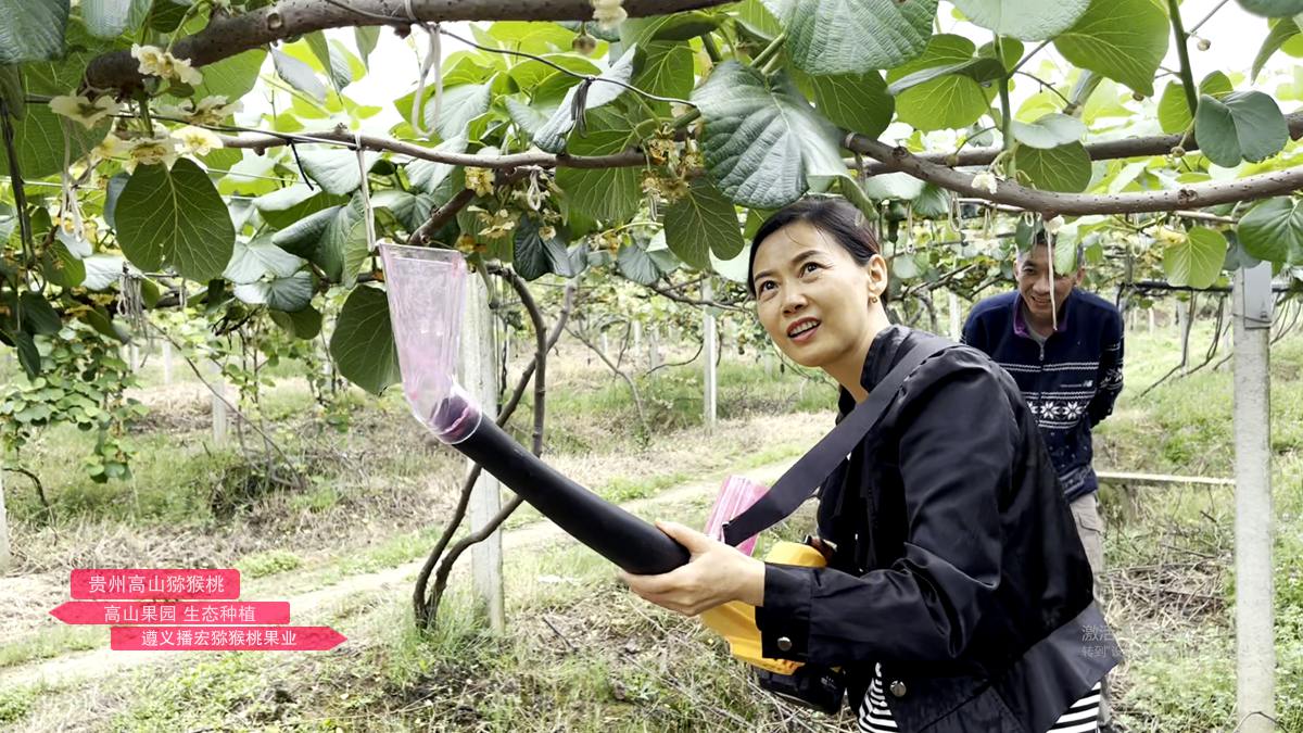 使用锂电池的猕猴桃电动授粉机 使用锂电池的猕猴桃电动授粉机