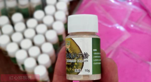 来自北京遵义高山红心猕猴桃花粉批发基地技术员说促进消化