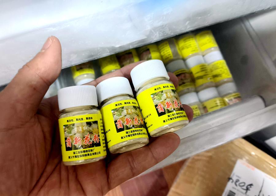 猕猴桃花粉需要低温保存