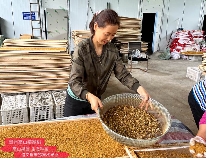 Kiwi pollination Kiwi pollination