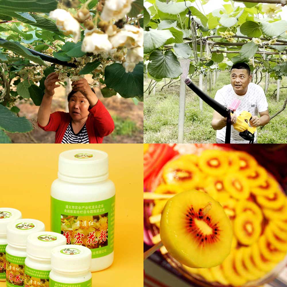 kiwi pollen for sale kiwi pollen for sale