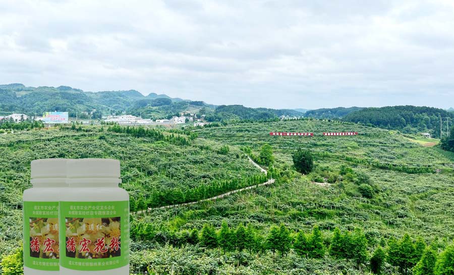 出口猕猴桃花粉