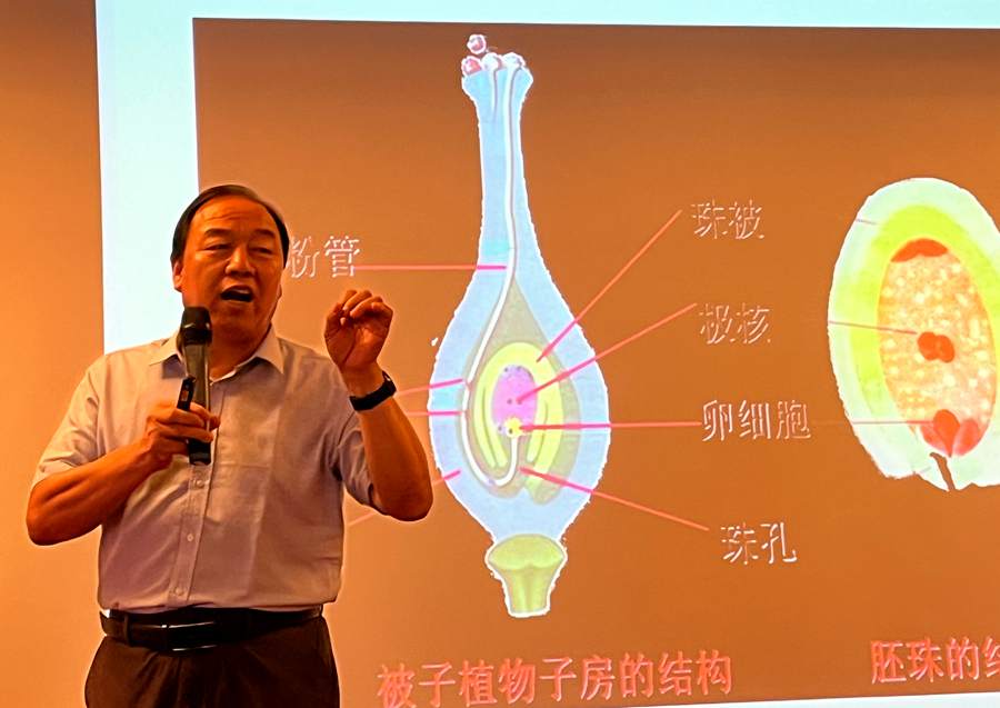 猕猴桃营养生长和生殖生长关系