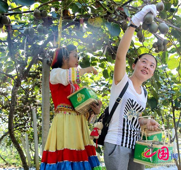 贵州修文新建猕猴桃电子商务园 网上销售贵长猕猴桃