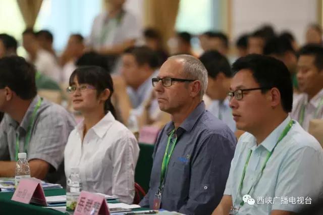 河南西峡猕猴桃