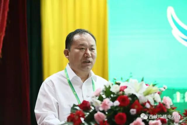 河南西峡猕猴桃