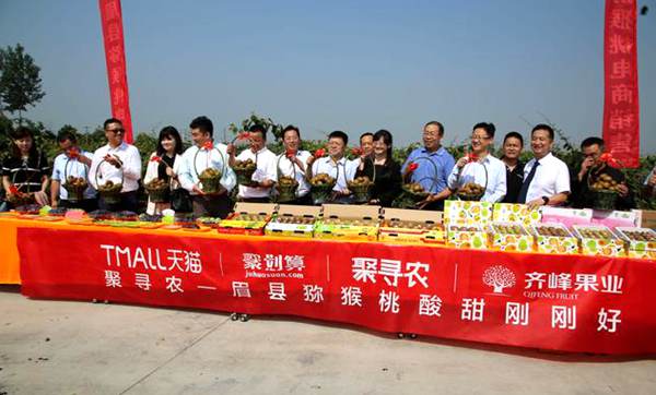 从萌芽到成熟贵州有机东红猕猴桃营养丰富走特色产业