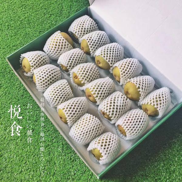 贵州铜仁猕猴桃