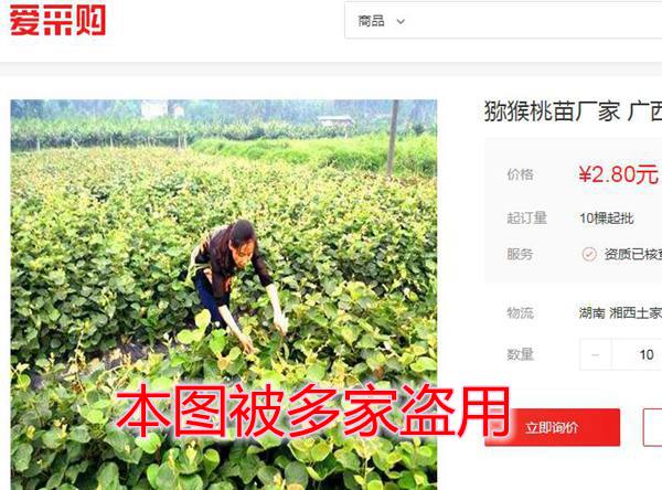 长沙炎农科技有限分司