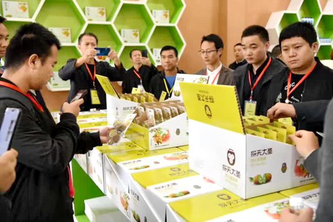 贵州中康农业科技有限公司猕猴桃基地