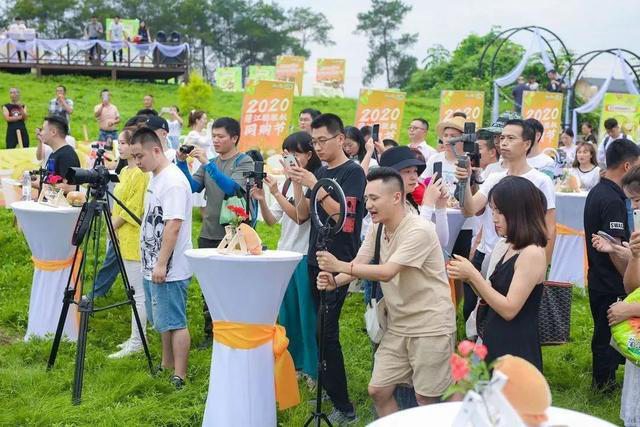 2020年度蒲江县优秀电商企业及个人评选 猕猴桃柑橘