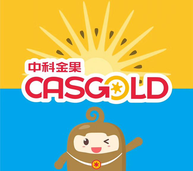 中科佳弥有机猕猴桃