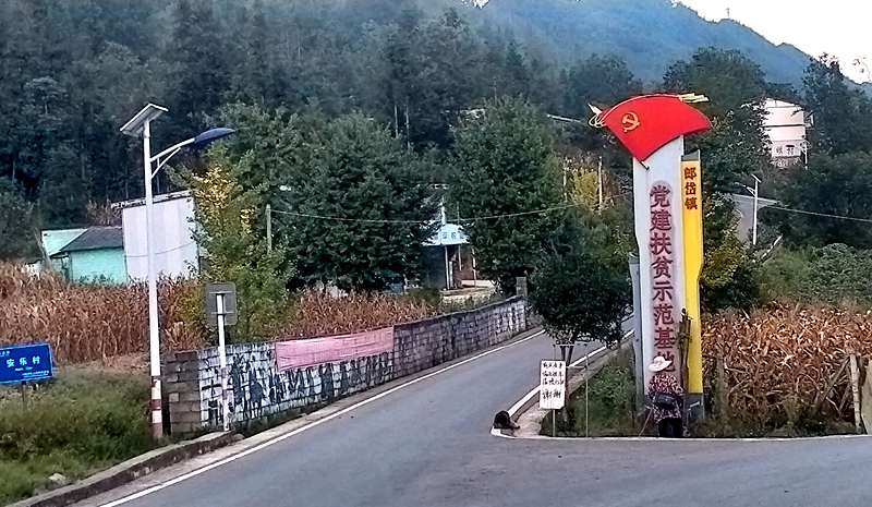 六盘水猕猴桃 六盘水猕猴桃