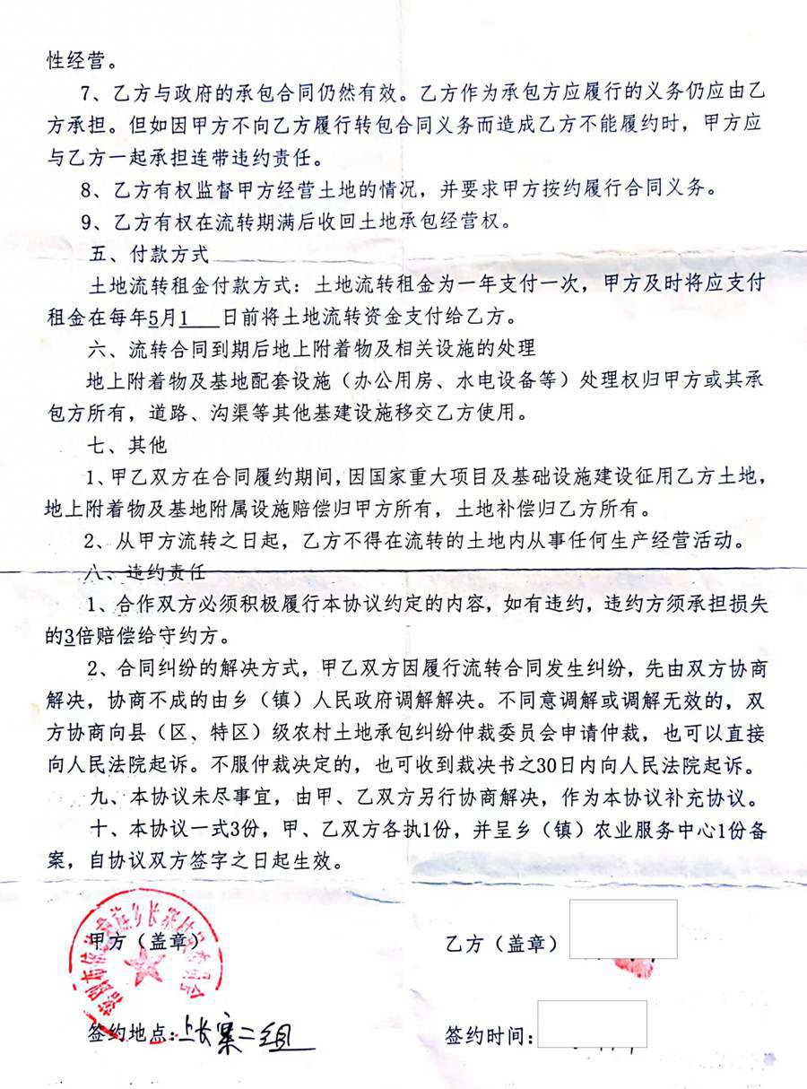 六盘水猕猴桃 六盘水猕猴桃