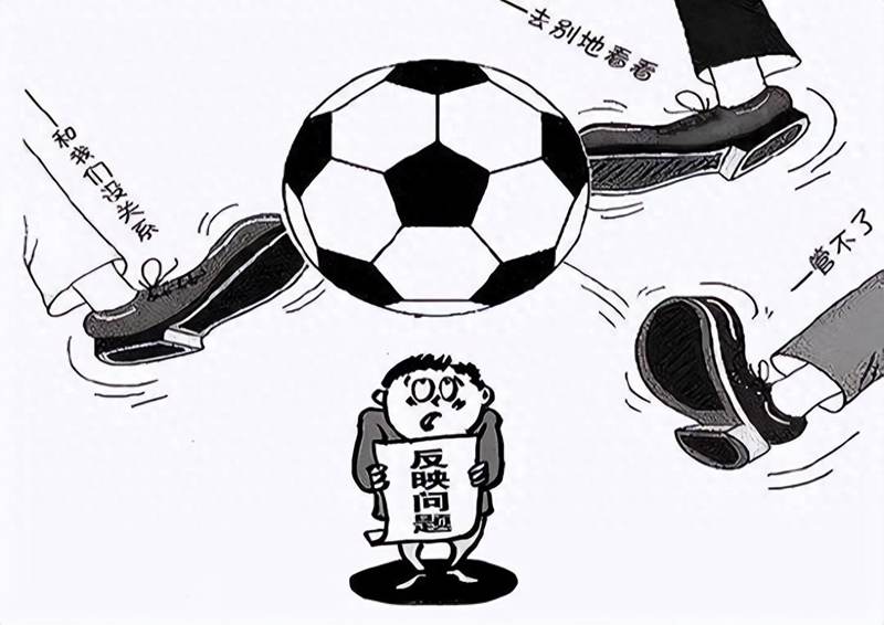 六盘水猕猴桃 六盘水猕猴桃