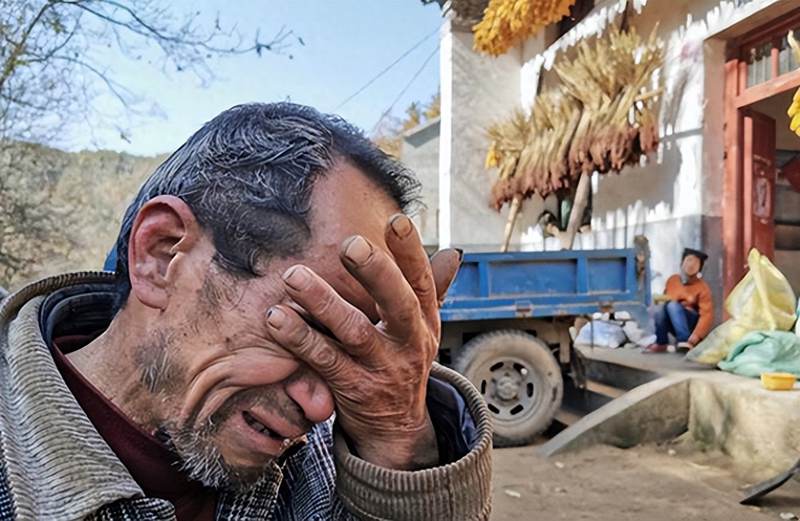 六盘水猕猴桃 六盘水猕猴桃