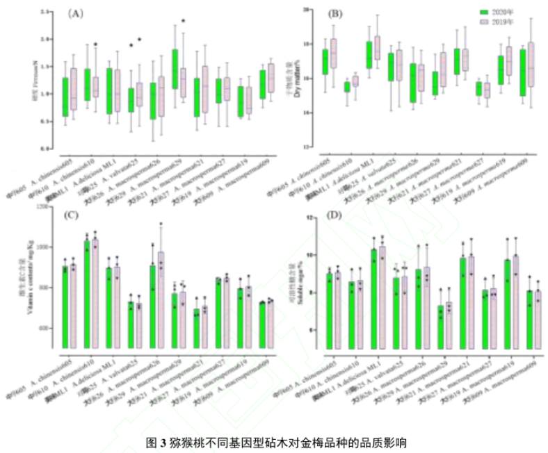 猕猴桃新型砧木
