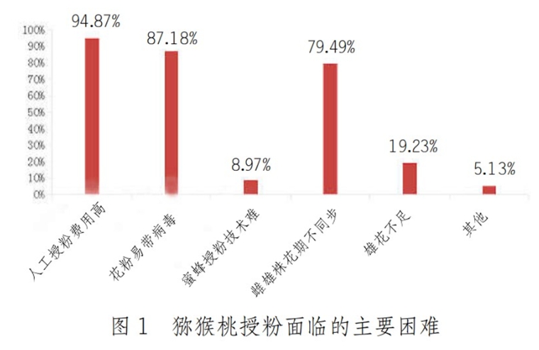 猕猴桃授粉技术