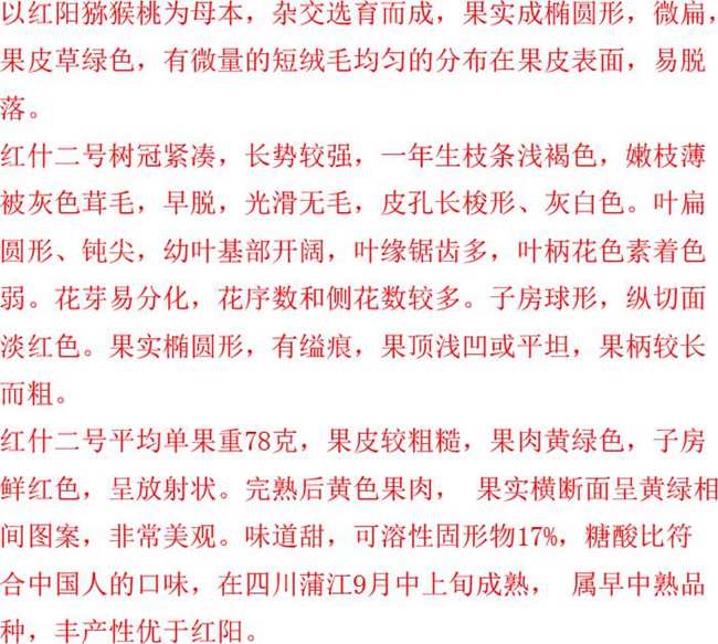 红什二号猕猴桃