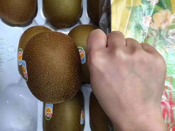 阳光金果