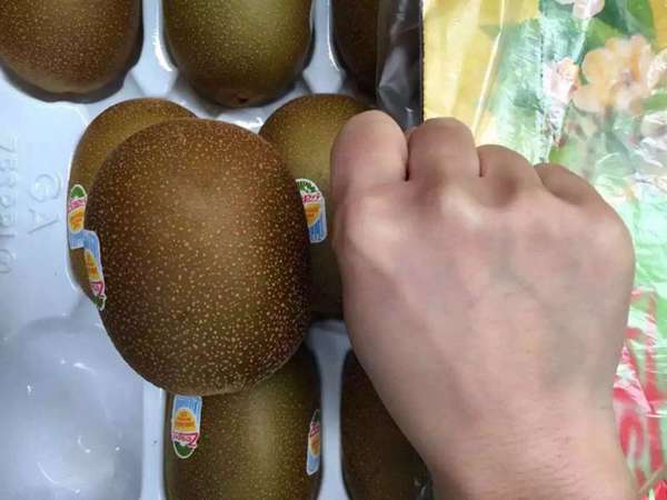 阳光金果