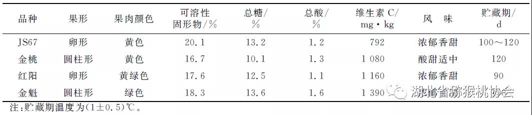 建香猕猴桃