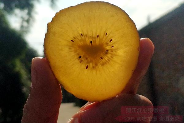 新西兰佳沛魅力金果是黄心猕猴桃品种什么时候几月吃