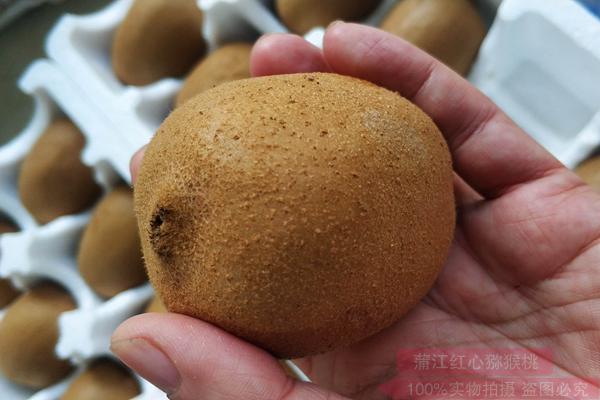 贵州有机猕猴桃是红心贵还是黄心贵要多少钱一斤