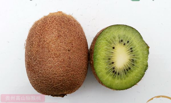 瑞玉猕猴桃