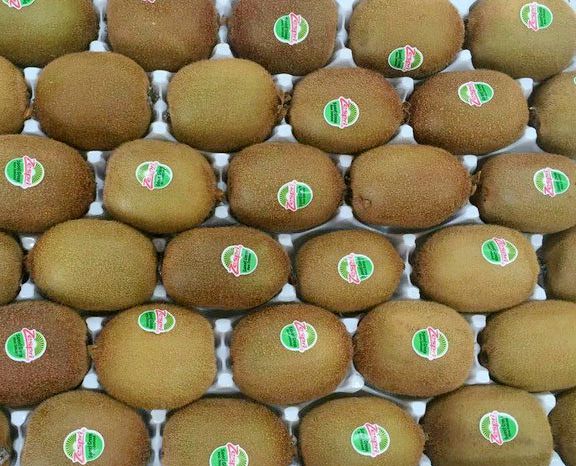 新西兰佳沛甜心绿果G14