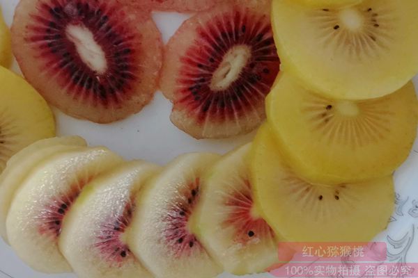 贵州铜仁和都匀种植者追求进口的阳光金果猕猴桃